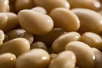 Фото Закупівля квасолі для переробки та консервування