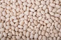 Фото Продати квасолю. Куплю квасолю. Приймаємо квасолю на переробку