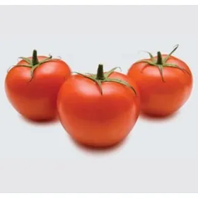 Сорти помідорів Каліфорнія F1 (INX 1624 F1)