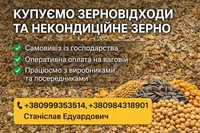 Фото Закупівля некондиційного зерна і відходів зернових, олійних, бобових культур