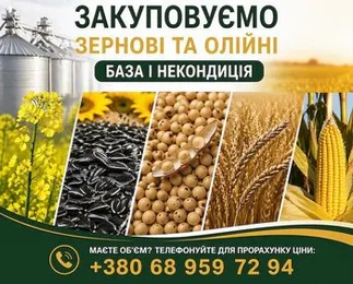 Закуповуємо с.г продукцію. База, некондиція
