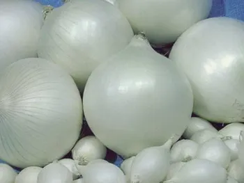 Сорти цибулі Альбіон F1