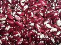 Фото Квасоля на продаж. Відбірні, перевірені сорти
