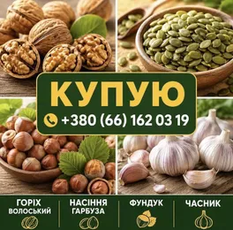Куплю часник, горіхи, насіння гарбуза