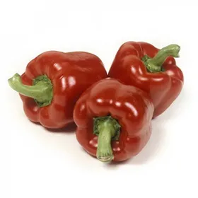 Сорти перцю Мазурка РЦ F1 / Mazurka RZ F1