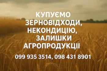 Купуємо зерновідходи та некондицію на постійній основі