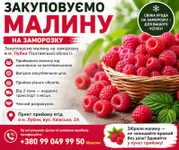 Фото Куплю малину на заморозку