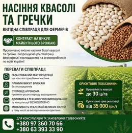 Насіння білої квасолі та гречки — продаж