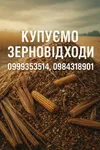 Фото Постійно купуємо зерновідходи, некондицію
