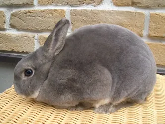 565