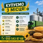 Фото Приймаємо зернові та олійні культури