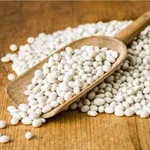 Фото Приймаємо різні сорти квасолі на переробку