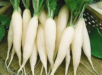 Сорти коренеплідних Біла бурулька