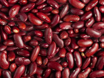 Квасоля на продаж, в асортименті 20+ сортів