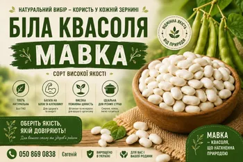 Продаж квасолі Біла мавка(рисовка)