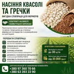 Фото Реалізуємо насіння білої квасолі та гречки