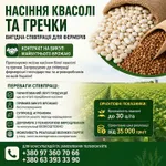 Фото Насіння квасолі та гречки — вигідна співпраця для фермерів