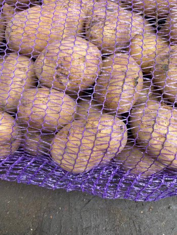 Коренеплідні Картопля оптом. насіннєва картопля. Продовольча картопля