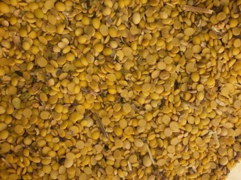 Зернові Закуповую зерновідходи кукурудзи та половинки сої.