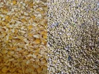 Фото Куплю половинки сої та биту кукурудзу