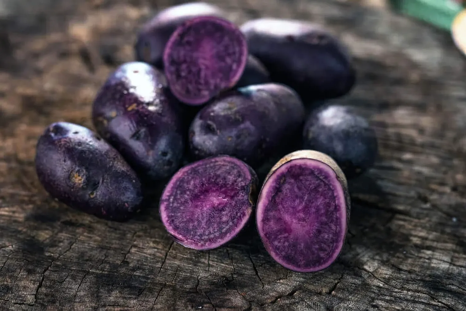 Фіолетова картопля | Сорти фіолетової картоплі