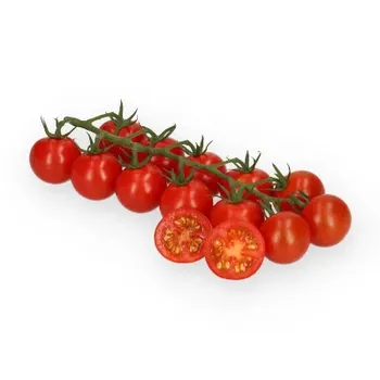 Сорти помідорів Адундас F1 | Adundas F1