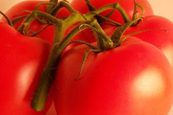 Статті користувачів Агротехніка і розмноження помідорів